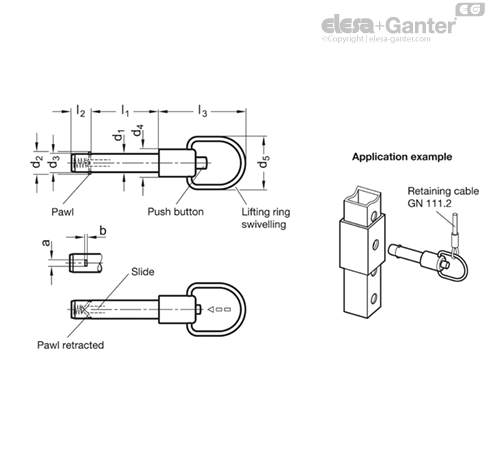 GN 214.6 Stainless Steel-Locking pins | Elesa+Ganter